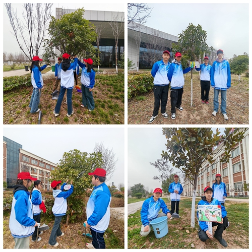 1742392275141536.jpg 1.jpg