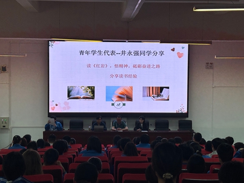 1745197294346172.jpg 05.jpg